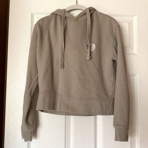Ivory Ella cropped gray hoodie like new